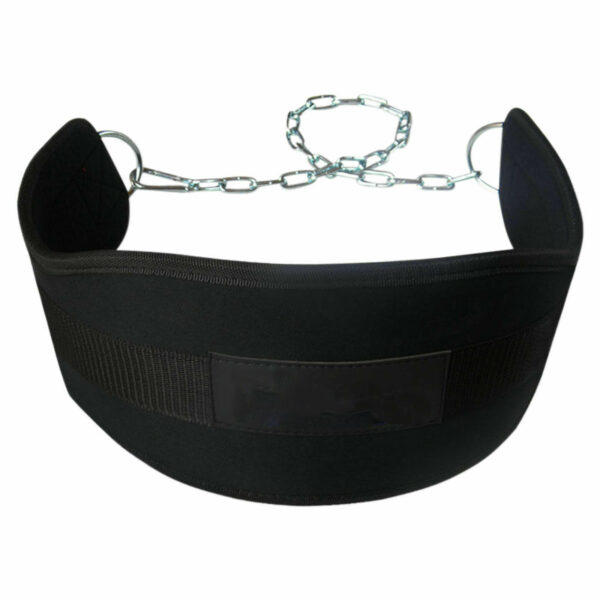 HOT Selling BEST Dipping BELT