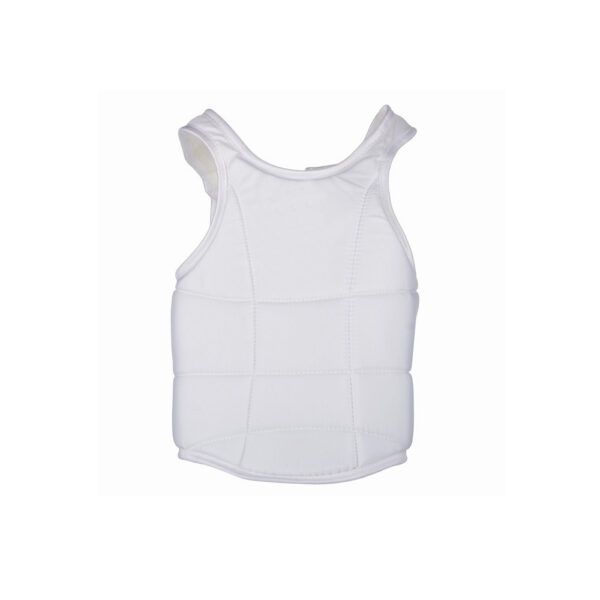 Protector Male & Female Karate Chest Guard