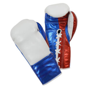 Ultimate  Fighter Gloves