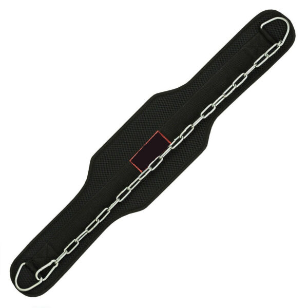 Best Cross Fit Dipping Belt - Image 2