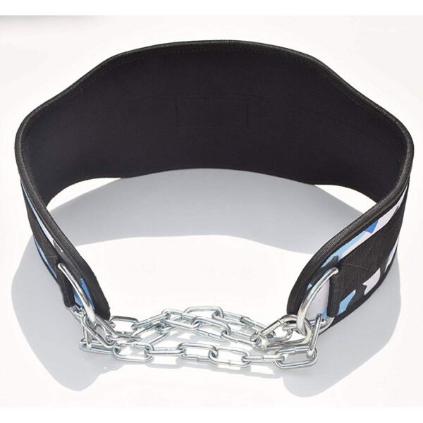 2020   Dipping Belt For Gym - Image 2