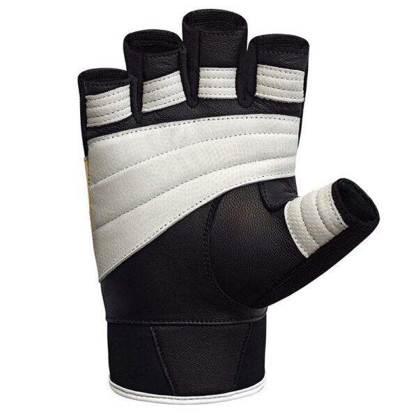 Arrival/Ized  Training Weight Lifting Gloves - Image 2